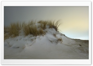 Snow Dunes in Hook of Holland Ultra HD Wallpaper for 4K UHD Widescreen desktop, tablet & smartphone
