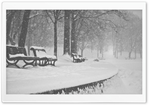 Snow Falling Black and White Ultra HD Wallpaper for 4K UHD Widescreen desktop, tablet & smartphone