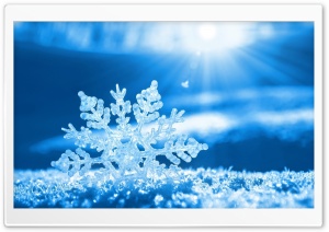 Snow Flake Ultra HD Wallpaper for 4K UHD Widescreen desktop, tablet & smartphone