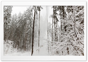 Snow in Austria Ultra HD Wallpaper for 4K UHD Widescreen desktop, tablet & smartphone