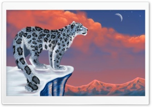 Snow Leopard Drawing Ultra HD Wallpaper for 4K UHD Widescreen desktop, tablet & smartphone