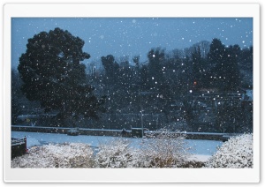 Snow Park 4K UHD Wallpaper for Widescreen and UltraWide Desktop, UltraHD TV, Smartphone, Tablet