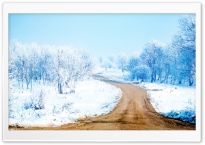 Snow Path Ultra HD Wallpaper for 4K UHD Widescreen desktop, tablet & smartphone