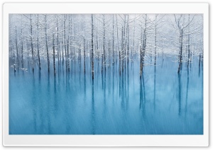 Snow Pond Ultra HD Wallpaper for 4K UHD Widescreen desktop, tablet & smartphone