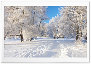 Snow Tracks Ultra HD Wallpaper for 4K UHD Widescreen desktop, tablet & smartphone