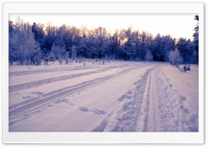 Snow Tracks, Winter Ultra HD Wallpaper for 4K UHD Widescreen Desktop, Lockscreen, Screensaver, TV, Tablet, Smartphone