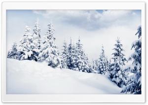 Snowfall Over the Mountain Pines 4K UHD Wallpaper for Widescreen and UltraWide Desktop, UltraHD TV, Smartphone, Tablet