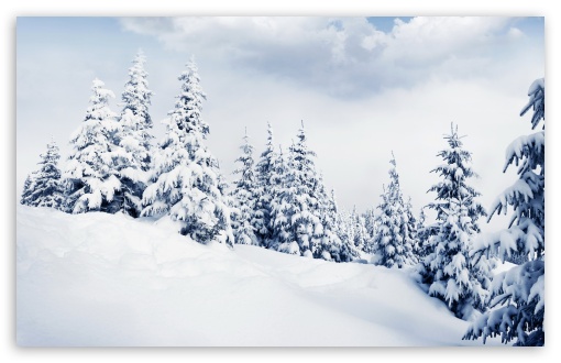 Snowfall Over the Mountain Pines UltraHD Wallpaper for UHD 16:9 ; HD 16:9 ; UltraWide 21:9 24:10 ; Widescreen 16:10 5:3 ; Fullscreen 4:3 5:4 3:2 ; Tablet 1:1 ; Mobile 9:16 9:19.5 9:20 9:21 9:22 10:16 2:3 3:5 3:4 ;