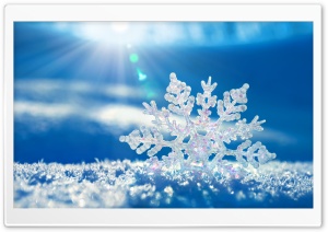 Snowflake Ultra HD Wallpaper for 4K UHD Widescreen desktop, tablet & smartphone