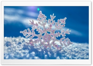 Snowflake Ultra HD Wallpaper for 4K UHD Widescreen Desktop, Lockscreen, Screensaver, TV, Tablet, Smartphone