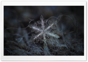 Snowflake Background Ultra HD Wallpaper for 4K UHD Widescreen desktop, tablet & smartphone