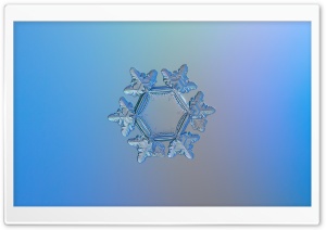 Snowflake Microscope Slides Ultra HD Wallpaper for 4K UHD Widescreen desktop, tablet & smartphone