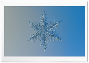 Snowflake Under Microscope Ultra HD Wallpaper for 4K UHD Widescreen desktop, tablet & smartphone