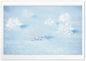 Snowflakes Ultra HD Wallpaper for 4K UHD Widescreen desktop, tablet & smartphone