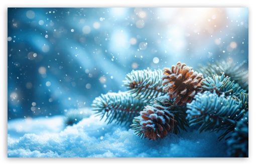 Snowflakes Adorning Fir Branches with Cones UltraHD Wallpaper for UHD 16:9 ; HD 16:9 ; UltraWide 21:9 24:10 32:9 32:10 ; Widescreen 16:10 5:3 ; Fullscreen 4:3 5:4 3:2 ; Tablet 1:1 ; Mobile 9:16 9:19.5 9:20 9:21 9:22 10:16 2:3 3:5 3:4 ; Dual 16:10 5:3 16:9 4:3 5:4 3:2 ;