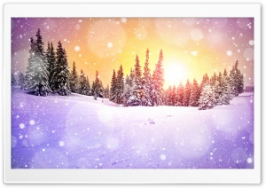 Snowing Bokeh Ultra HD Wallpaper for 4K UHD Widescreen desktop, tablet & smartphone