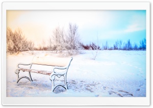 Snowy Bench, Winter Ultra HD Wallpaper for 4K UHD Widescreen desktop, tablet & smartphone