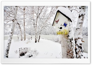 Snowy Birdhouse Ultra HD Wallpaper for 4K UHD Widescreen desktop, tablet & smartphone