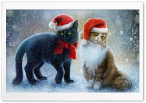 Snowy Christmas, Cats Wearing Santa Hats 4K UHD Wallpaper for Widescreen and UltraWide Desktop, UltraHD TV, Smartphone, Tablet