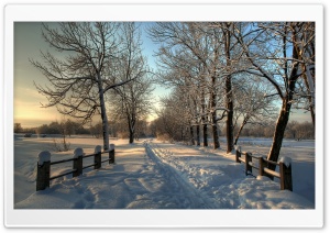 Snowy Country Road Ultra HD Wallpaper for 4K UHD Widescreen desktop, tablet & smartphone