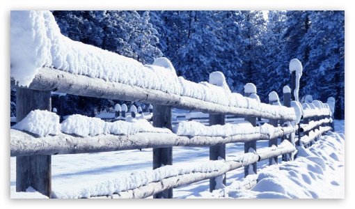 Snowy Fence UltraHD Wallpaper for HD 16:9 ;