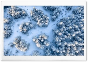 Snowy Fir Trees Forest Winter Aerial View 4K UHD Wallpaper for Widescreen and UltraWide Desktop, UltraHD TV, Smartphone, Tablet