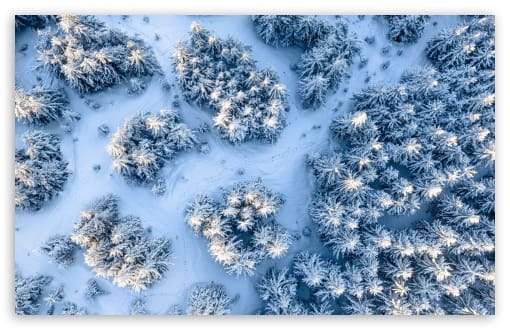 Snowy Fir Trees Forest Winter Aerial View UltraHD Wallpaper for UHD 16:9 ; HD 16:9 ; UltraWide 21:9 24:10 32:9 32:10 ; Widescreen 16:10 ; Tablet 1:1 ; Mobile 9:16 9:19.5 9:20 ; Dual 16:10 16:9 ;