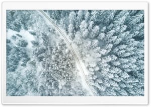 Snowy Forest Aerial View 4K UHD Wallpaper for Widescreen and UltraWide Desktop, UltraHD TV, Smartphone, Tablet