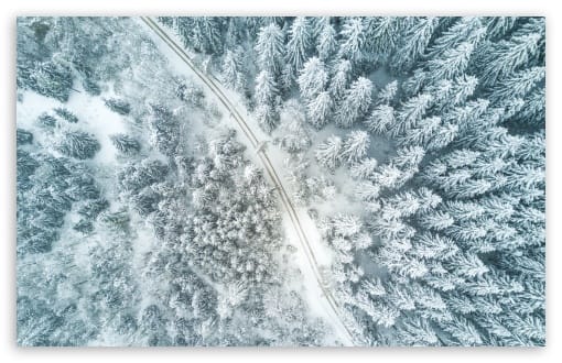 Snowy Forest Aerial View UltraHD Wallpaper for UHD 16:9 ; HD 16:9 ; UltraWide 21:9 24:10 32:9 32:10 ; Widescreen 16:10 ; Fullscreen 4:3 ; Tablet 1:1 ; Mobile 9:16 9:19.5 9:20 9:21 9:22 ; Dual 16:10 16:9 ;