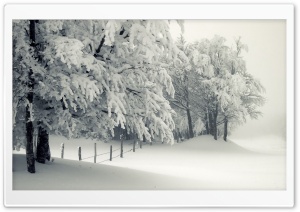 Snowy Landscape Ultra HD Wallpaper for 4K UHD Widescreen desktop, tablet & smartphone
