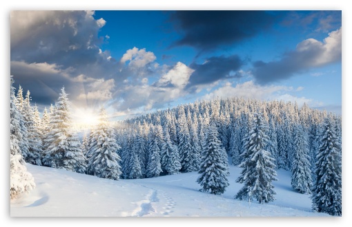 Snowy Mountain Forest Landscape UltraHD Wallpaper for UHD 16:9 ; HD 16:9 ; UltraWide 21:9 24:10 32:9 32:10 ; Widescreen 16:10 5:3 ; Fullscreen 4:3 5:4 3:2 ; Tablet 1:1 ; Mobile 9:16 9:19.5 9:20 9:21 9:22 10:16 2:3 3:5 3:4 ; Dual 16:10 5:3 16:9 4:3 5:4 3:2 ;