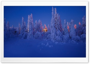 Snowy Night Landscape Ultra HD Wallpaper for 4K UHD Widescreen desktop, tablet & smartphone