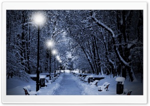 Snowy Park At Night Ultra HD Wallpaper for 4K UHD Widescreen desktop, tablet & smartphone