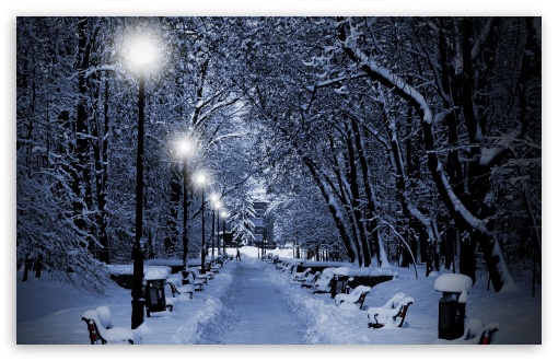 Snowy Park At Night Ultra HD Desktop Background Wallpaper for 4K UHD TV ...