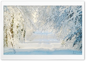 Snowy Road, Winter Ultra HD Wallpaper for 4K UHD Widescreen desktop, tablet & smartphone
