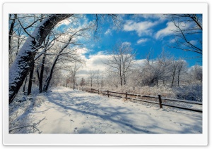 Snowy Road, Winter Landscape Ultra HD Wallpaper for 4K UHD Widescreen desktop, tablet & smartphone