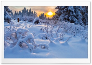 Snowy Season Ultra HD Wallpaper for 4K UHD Widescreen desktop, tablet & smartphone