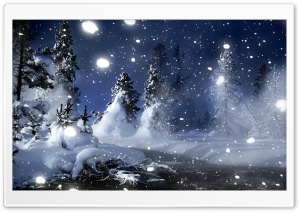 Snowy Spruce Trees Ultra HD Wallpaper for 4K UHD Widescreen desktop, tablet & smartphone