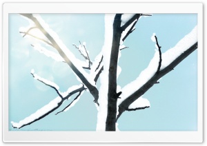 Snowy Tree Background Ultra HD Wallpaper for 4K UHD Widescreen desktop, tablet & smartphone