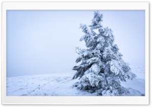 Snowy Tree Background Ultra HD Wallpaper for 4K UHD Widescreen desktop, tablet & smartphone