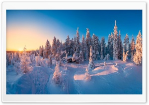 Snowy Trees At Sunrise Light 4K UHD Wallpaper for Widescreen and UltraWide Desktop, UltraHD TV, Smartphone, Tablet