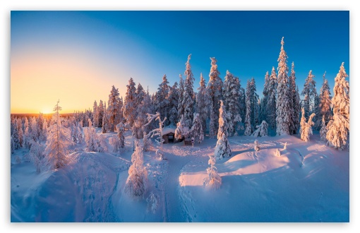 Snowy Trees At Sunrise Light UltraHD Wallpaper for UHD 16:9 ; HD 16:9 ; UltraWide 21:9 24:10 32:9 32:10 ; Widescreen 16:10 5:3 ; Fullscreen 4:3 5:4 3:2 ; Tablet 1:1 ; Mobile 9:16 9:19.5 9:20 10:16 2:3 3:5 3:4 ; Dual 16:10 5:3 16:9 4:3 5:4 3:2 ;