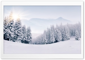 Snowy Winter Landscape Ultra HD Wallpaper for 4K UHD Widescreen desktop, tablet & smartphone