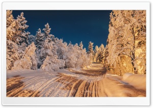 Snowy Winter Night and Golden Lights Ultra HD Wallpaper for 4K UHD Widescreen desktop, tablet & smartphone