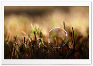 Soap Bubble On Grass Ultra HD Wallpaper for 4K UHD Widescreen desktop, tablet & smartphone