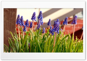 Soldiers 4K UHD Wallpaper for Widescreen and UltraWide Desktop, UltraHD TV, Smartphone, Tablet