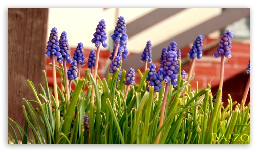 Soldiers UltraHD Wallpaper for HD 16:9 ;