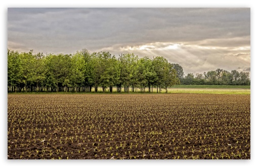 Somewhere in Northern Italy UltraHD Wallpaper for Wide 16:10 5:3 Widescreen WHXGA WQXGA WUXGA WXGA WGA ; 8K UHD TV 16:9 Ultra High Definition 2160p 1440p 1080p 900p 720p ; UHD 16:9 2160p 1440p 1080p 900p 720p ; Standard 4:3 5:4 3:2 Fullscreen UXGA XGA SVGA QSXGA SXGA DVGA HVGA HQVGA ( Apple PowerBook G4 iPhone 4 3G 3GS iPod Touch ) ; Tablet 1:1 ; iPad 1/2/Mini ; Mobile 4:3 5:3 3:2 16:9 5:4 - UXGA XGA SVGA WGA DVGA HVGA HQVGA ( Apple PowerBook G4 iPhone 4 3G 3GS iPod Touch ) 2160p 1440p 1080p 900p 720p QSXGA SXGA ; Dual 16:10 5:3 16:9 4:3 5:4 WHXGA WQXGA WUXGA WXGA WGA 2160p 1440p 1080p 900p 720p UXGA XGA SVGA QSXGA SXGA ;