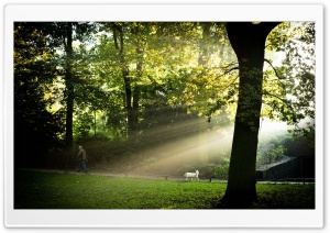 Sonnenborgh Park, Utrecht Ultra HD Wallpaper for 4K UHD Widescreen desktop, tablet & smartphone