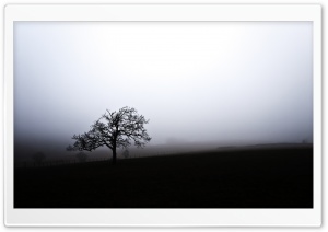 South Downs Fog, England Ultra HD Wallpaper for 4K UHD Widescreen desktop, tablet & smartphone